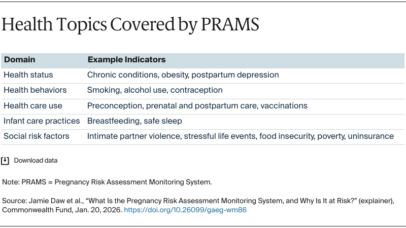 Daw_what_is_prams_table