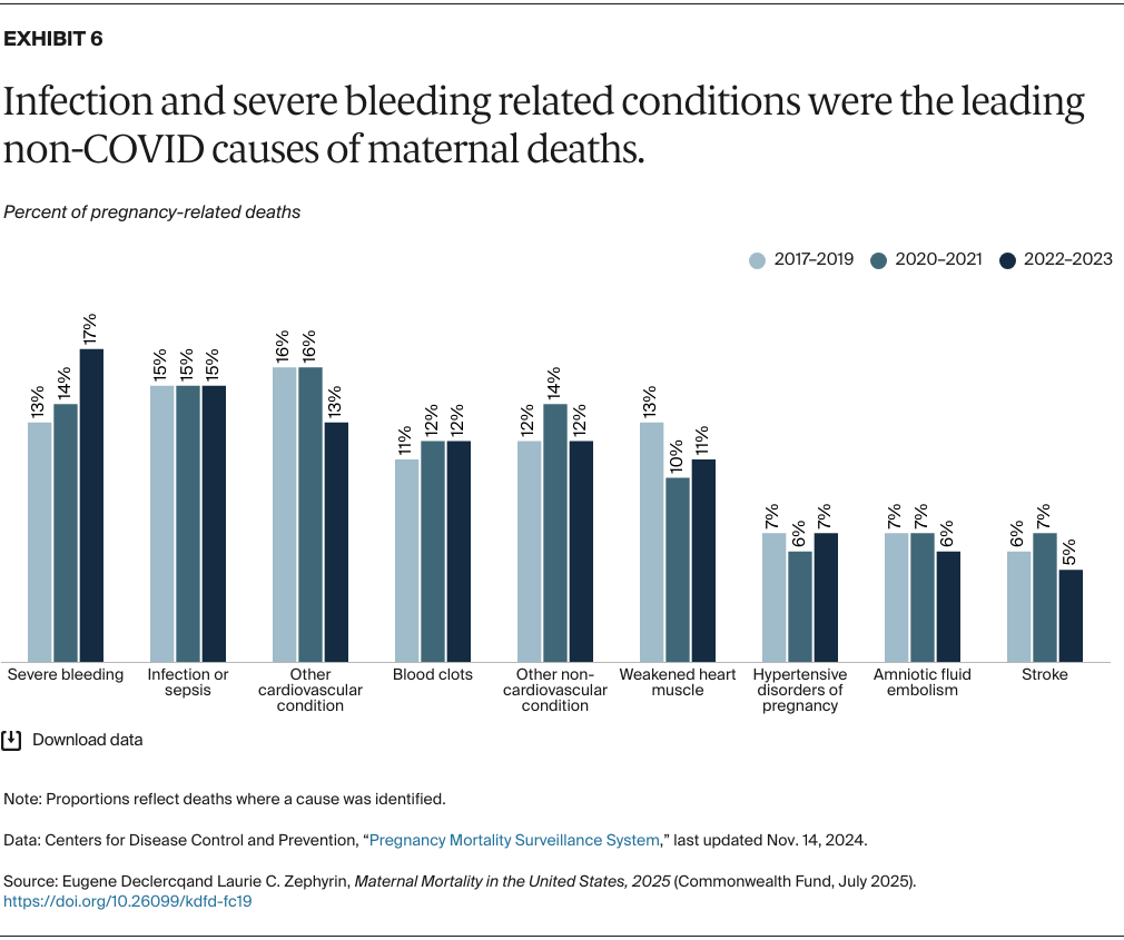 Declercq_maternal_mortality_united_states_2025_Exhibit_06_v2