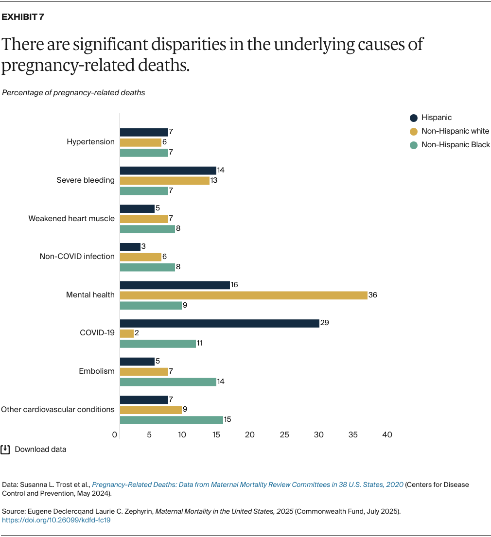 Declercq_maternal_mortality_united_states_2025_Exhibit_07
