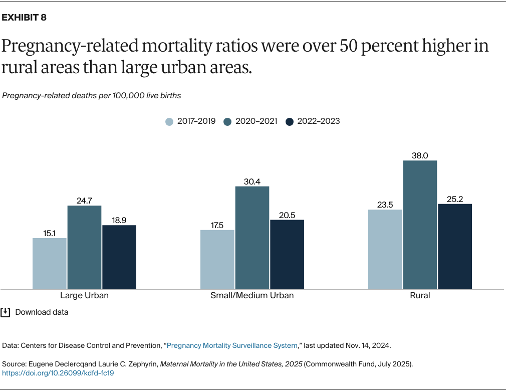 Declercq_maternal_mortality_united_states_2025_Exhibit_08