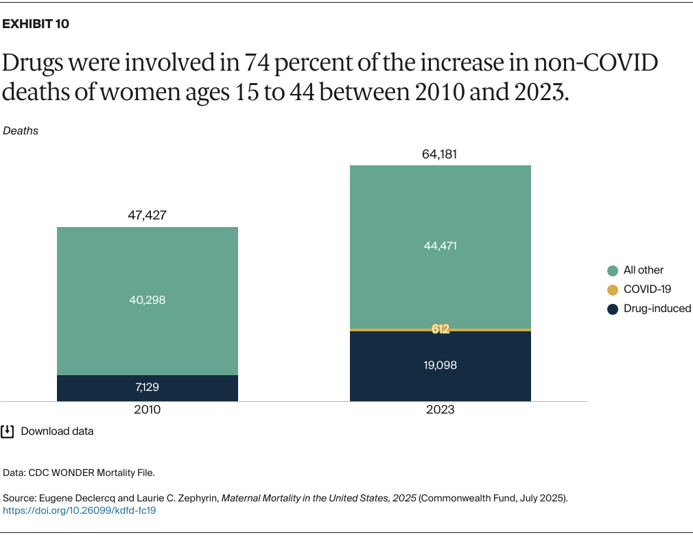 Declercq_maternal_mortality_united_states_2025_Exhibit_10