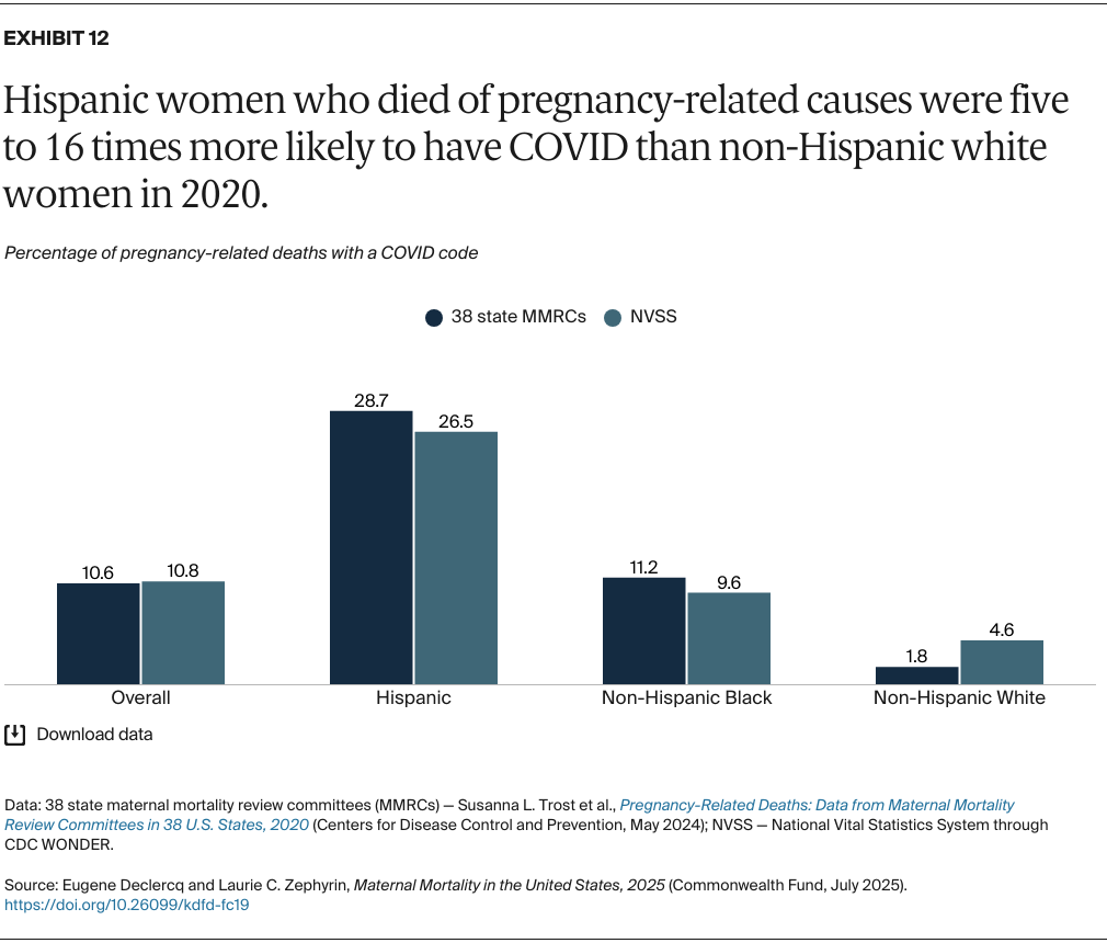 Declercq_maternal_mortality_united_states_2025_Exhibit_12