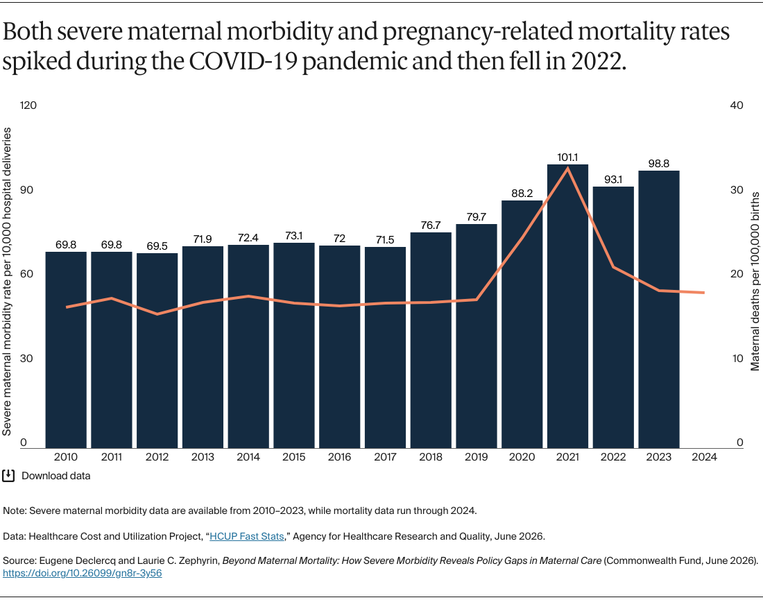 Declercq_severe_maternal_morbidity_policy_gaps_Exhibit_01