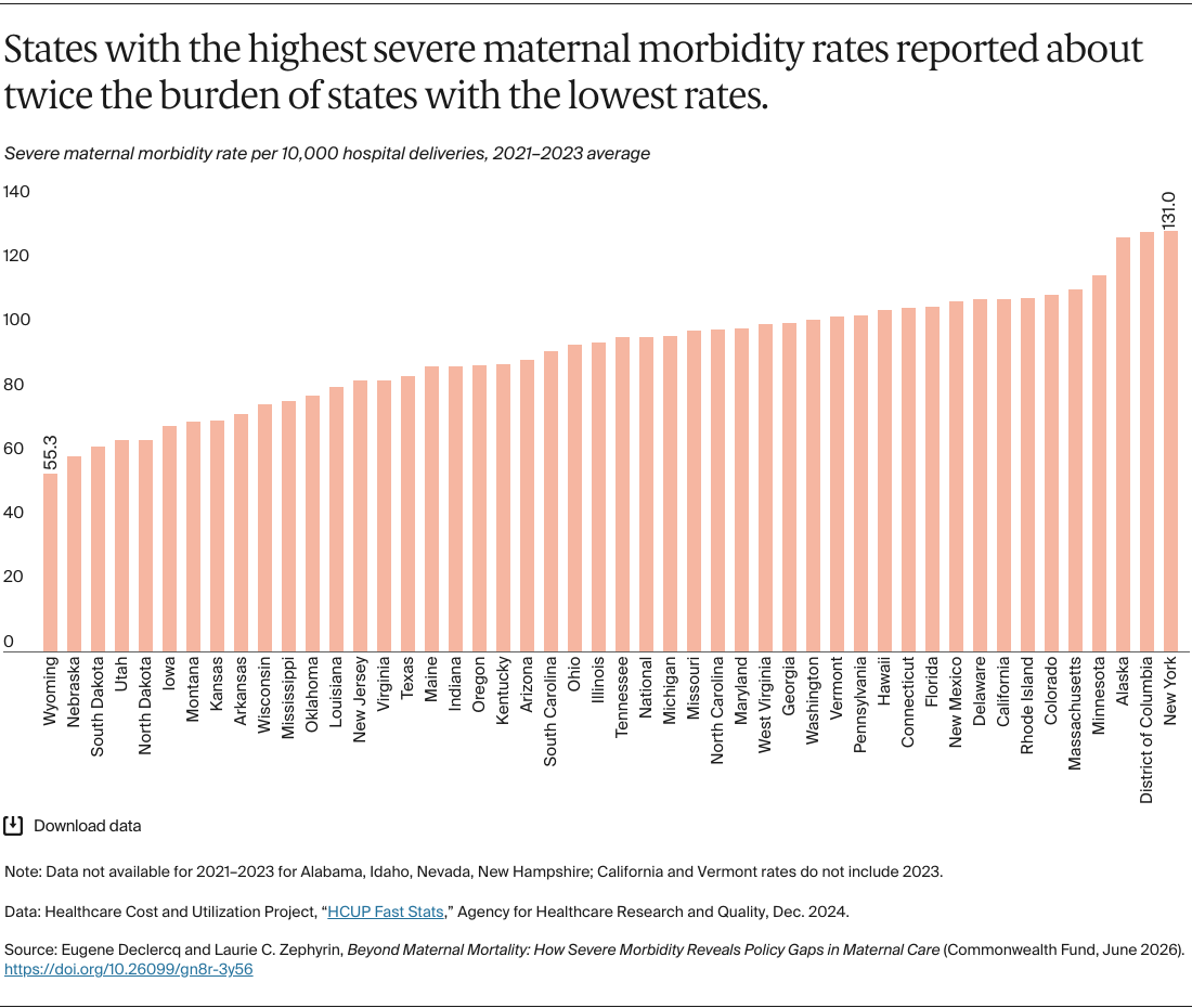 Declercq_severe_maternal_morbidity_policy_gaps_Exhibit_02