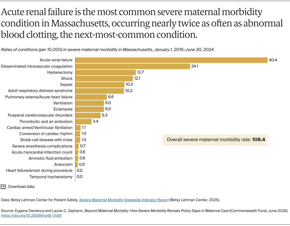 Declercq_severe_maternal_morbidity_policy_gaps_Exhibit_03