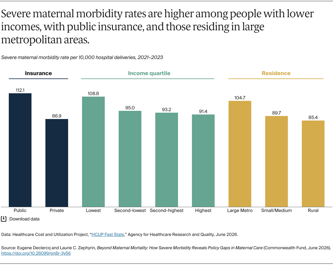Declercq_severe_maternal_morbidity_policy_gaps_Exhibit_06