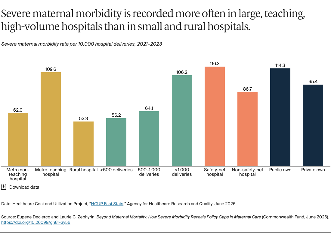 Declercq_severe_maternal_morbidity_policy_gaps_Exhibit_07