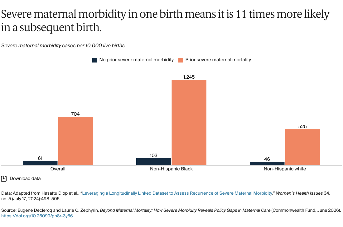 Declercq_severe_maternal_morbidity_policy_gaps_Exhibit_08
