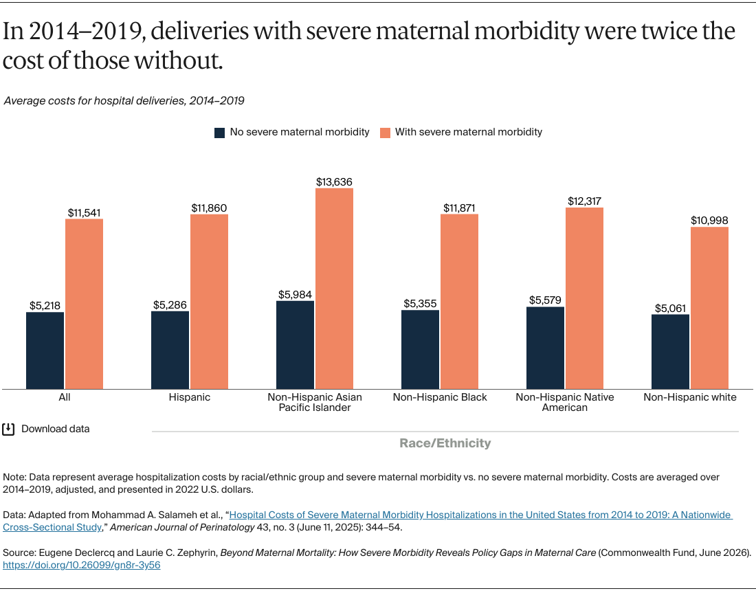 Declercq_severe_maternal_morbidity_policy_gaps_Exhibit_09