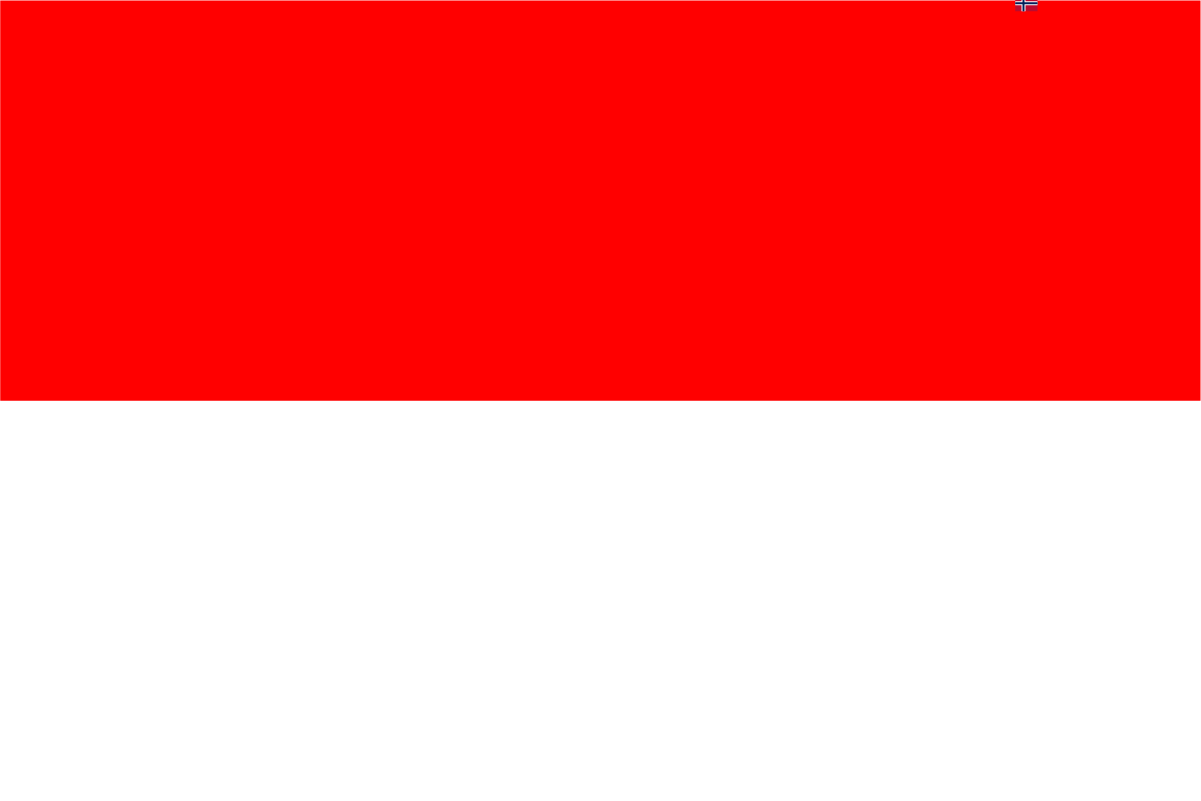 Flag of Indonesia