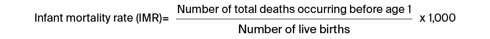 Infant mortality rate formula