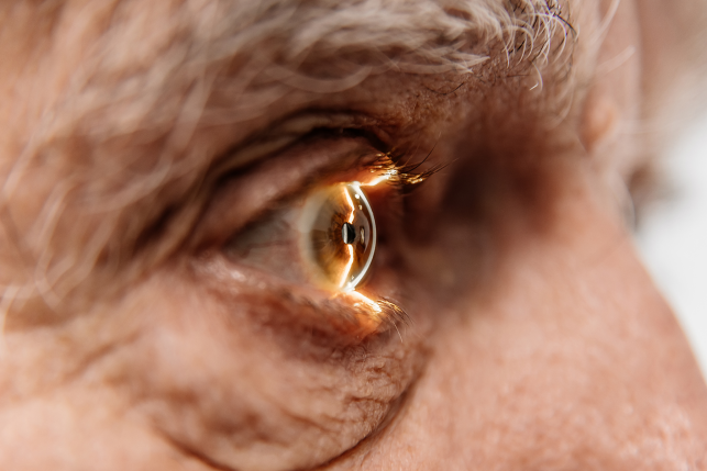 View of eye with light