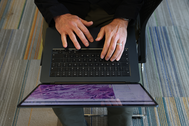 Aerial view of hands on a laptop