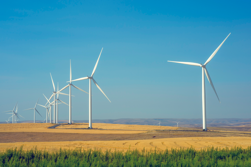 Wind farm in eastern Washington State