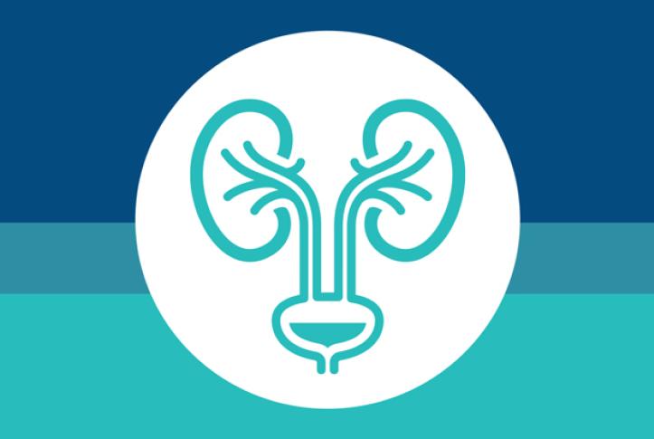 Choosing Wisely Recommendation 9: Don’t Place, Or Leave In Place, Urinary Catheters For Incontinence, Convenience, Or Monitoring In Noncritically Ill Patients