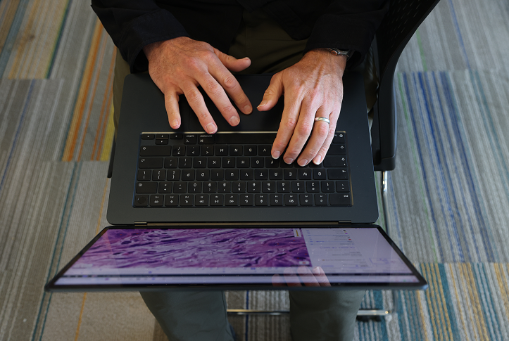 Aerial view of hands on a laptop