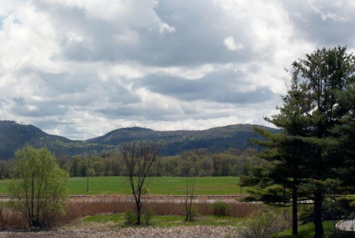 How Independent Primary Care Clinicians Leverage Trust to Help Vulnerable Populations